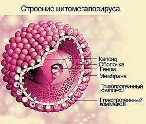 Ацикловир для детей при цитомегаловирусе