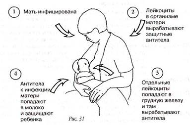 мастит у грудного ребенка в 4 месяца